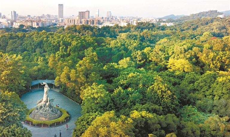 11451480_zhanghl_1706286134181_s