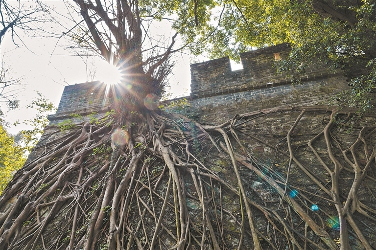 11451211_zhanghl_1706286576918_s