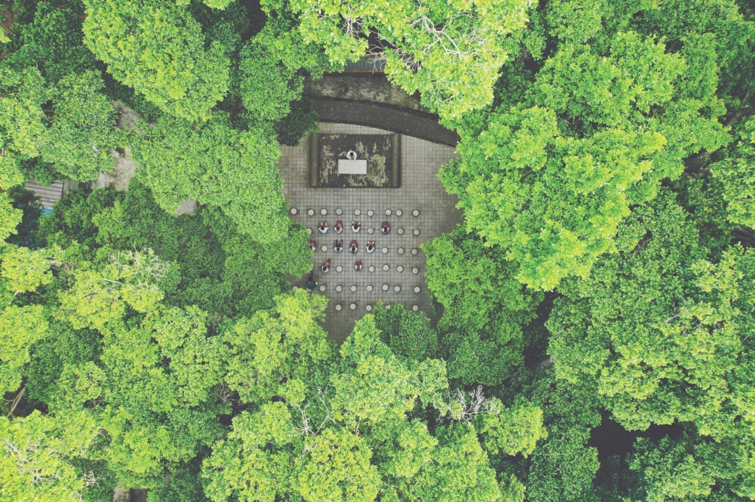 微信截图_20240211084105