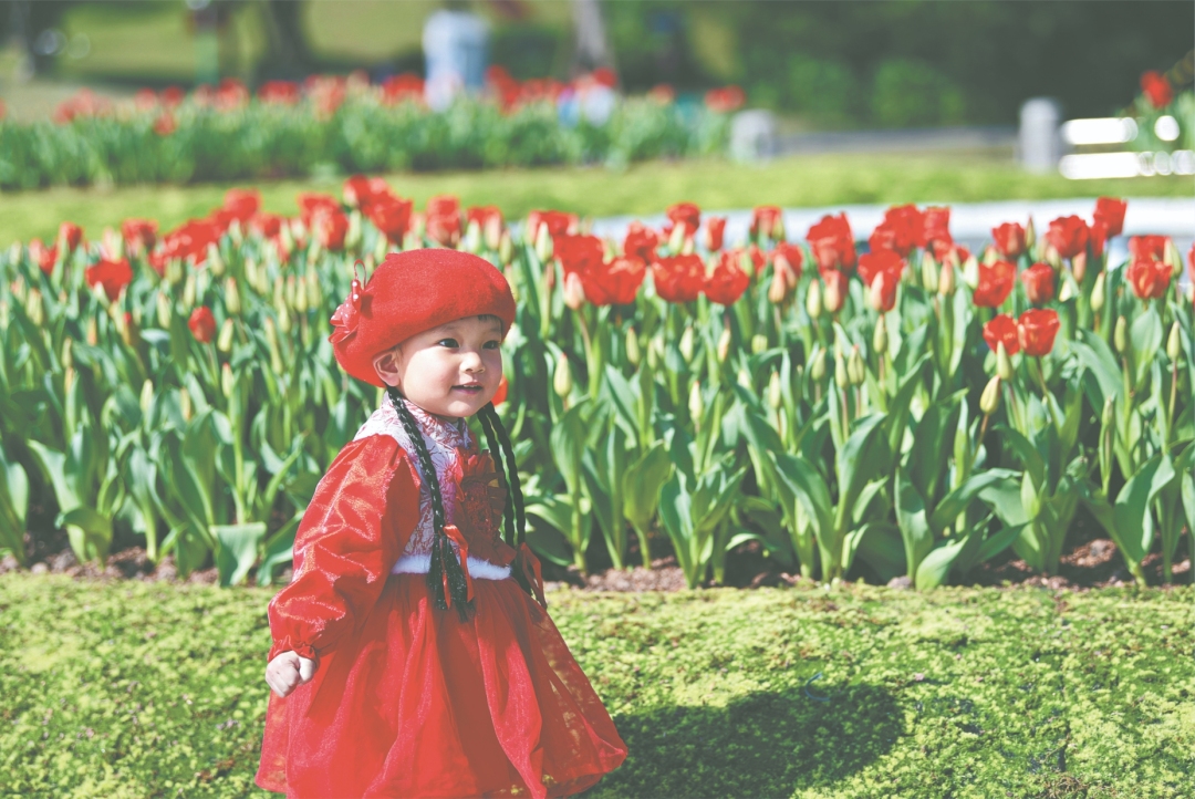 微信截图_20240211083838