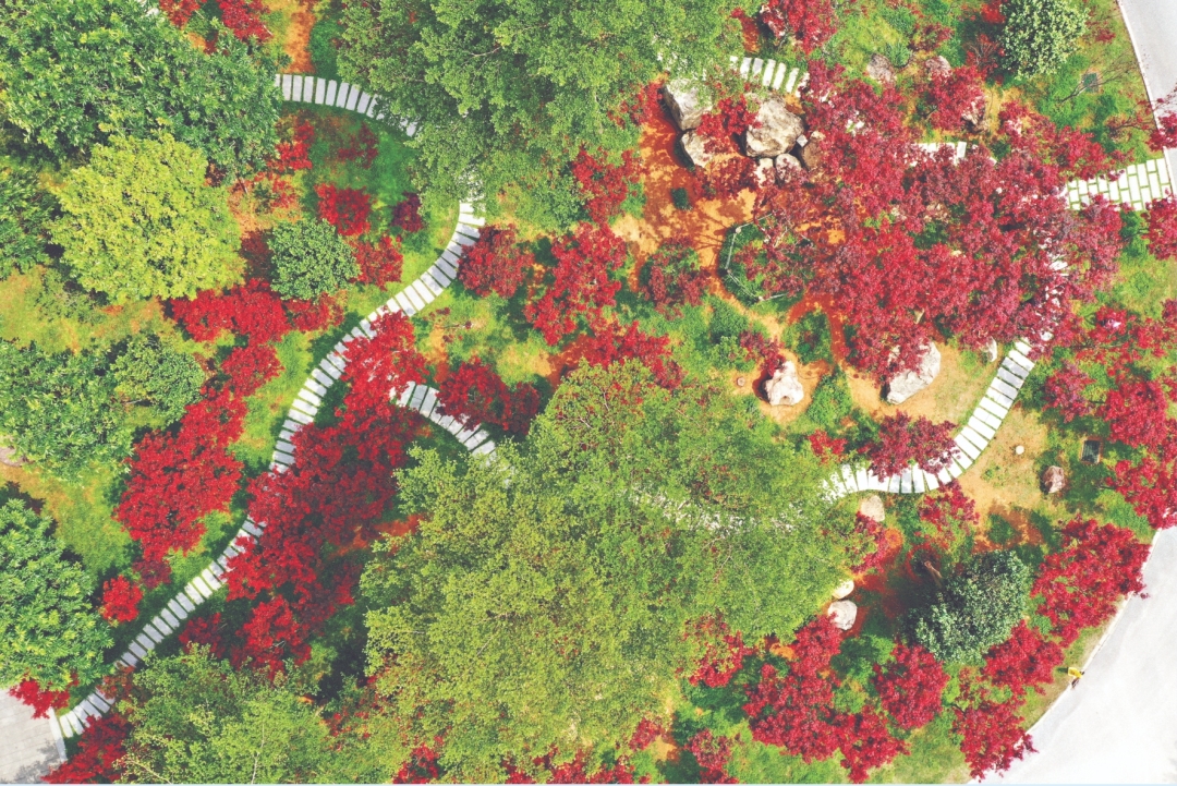 微信截图_20240211084532