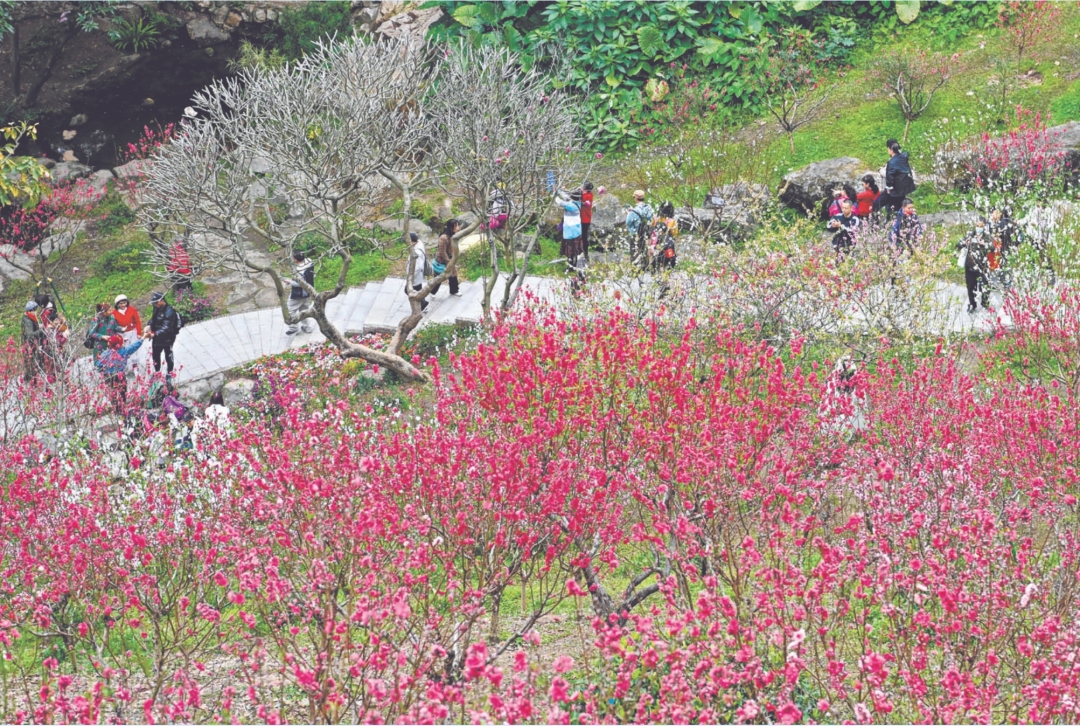 微信截图_20240211084620