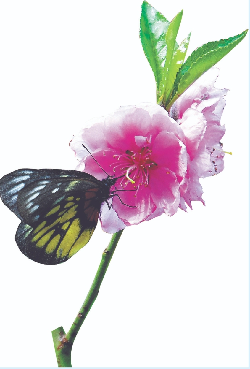 微信截图_20240211081935