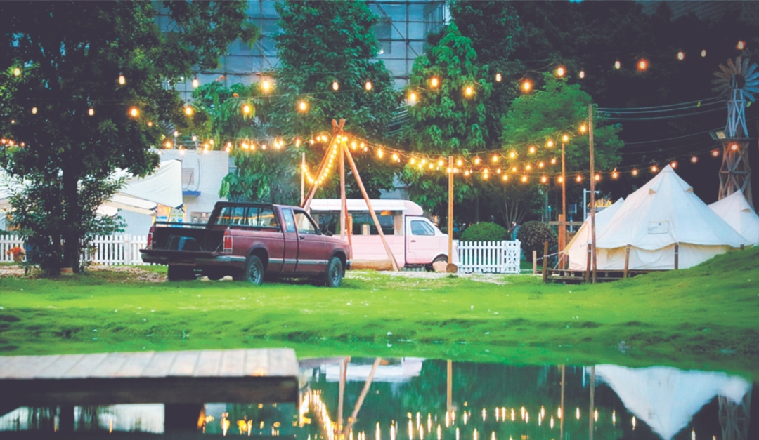 微信截图_20240211081842