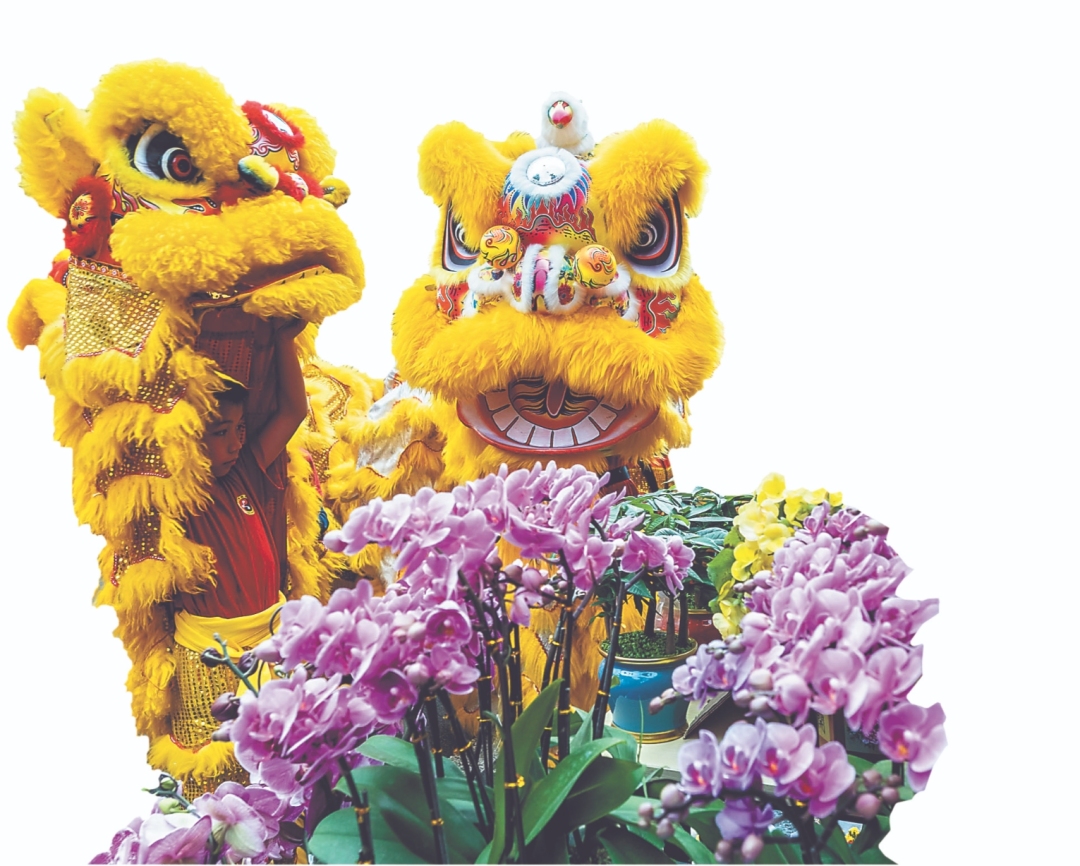 微信截图_20240211081757