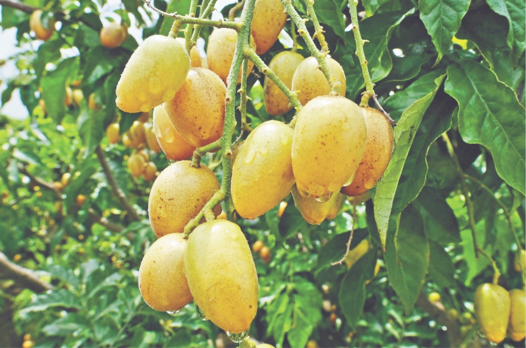 微信截图_20240211082031