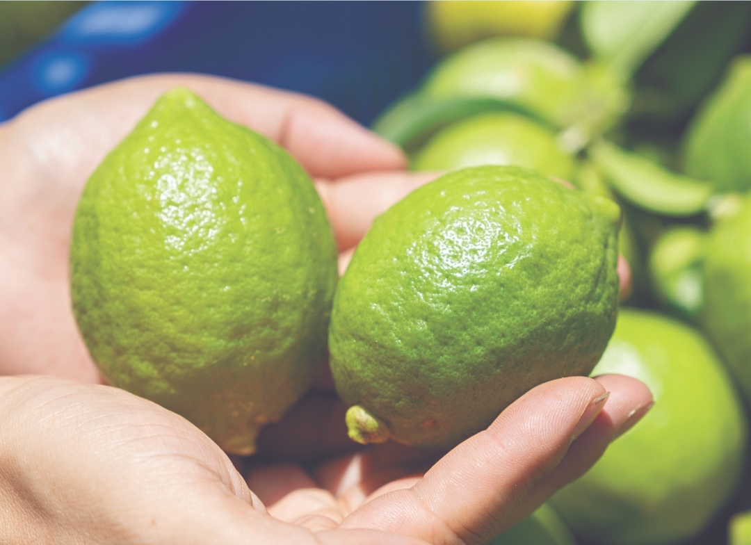 微信截图_20240211082124