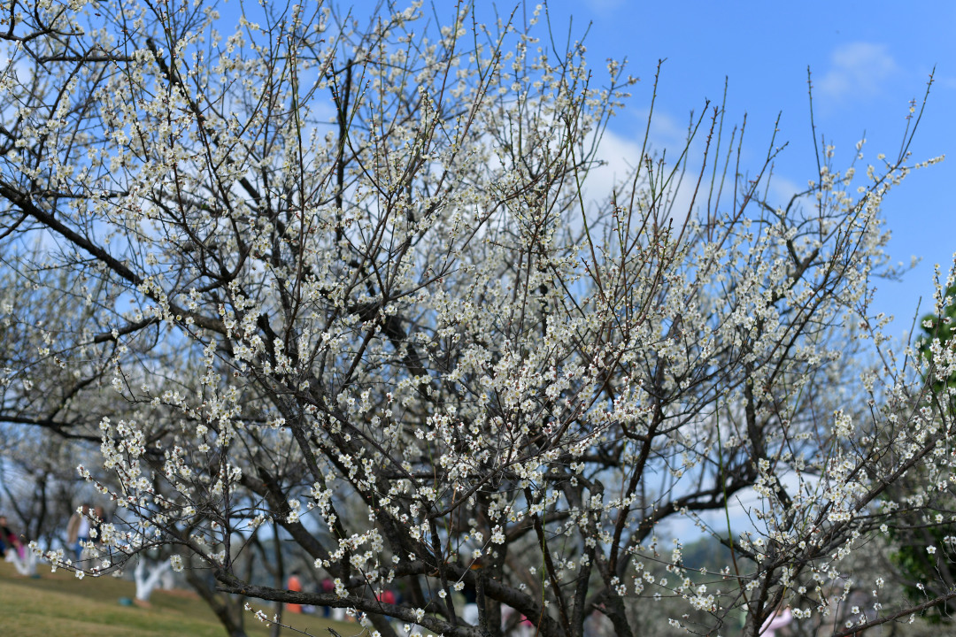 杨耀烨-YYY_3625-FZ100411532537
