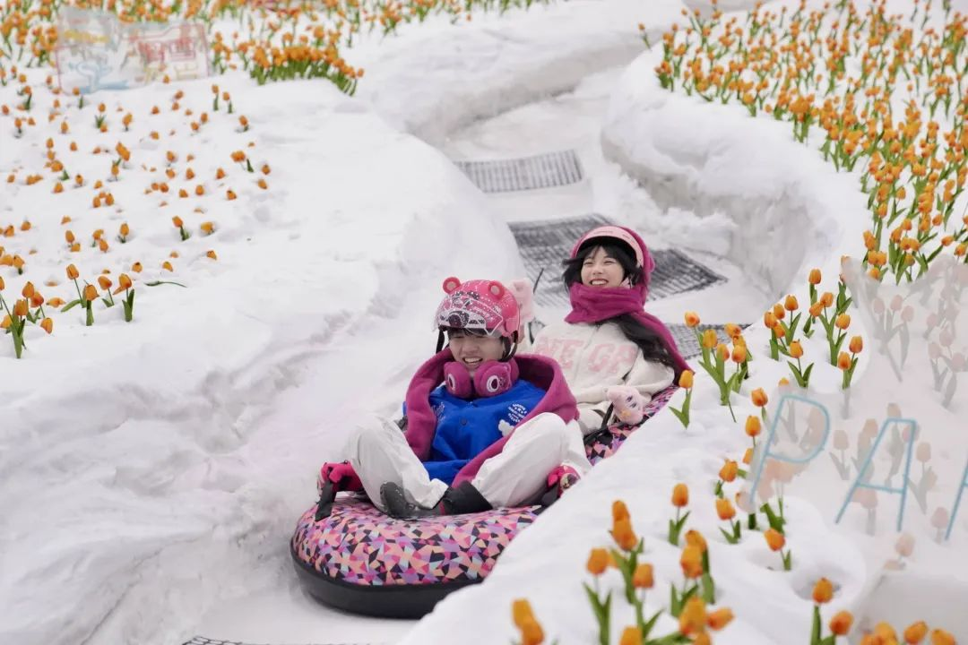 董业衡-热雪奇迹3-NEP1_20240213_C00411535505