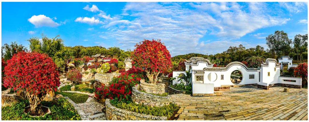 董业衡-马岭观花植物园3-NEP1_20240213_C00411535503