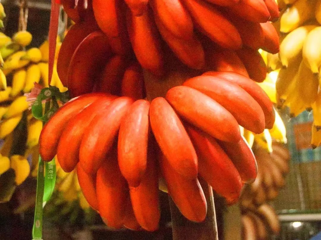 _2024_2_gengxj2024222334127686817