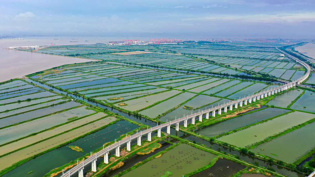 _2024_2_gengxj202422233497686811