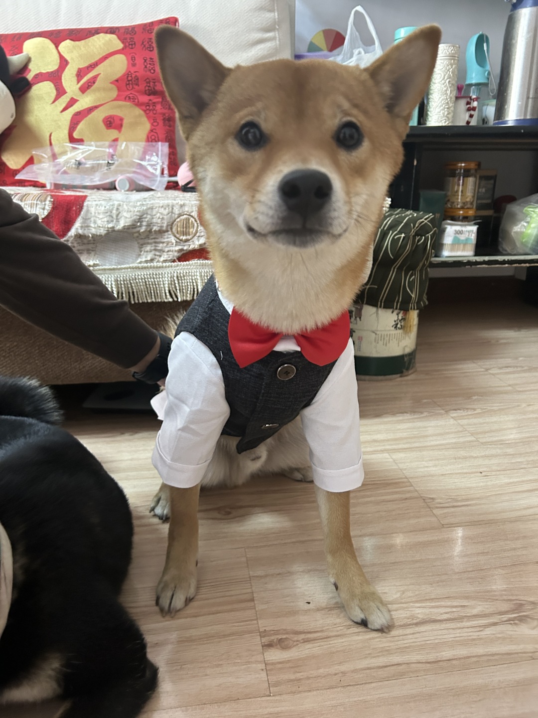 李柴可穿上花童衣服