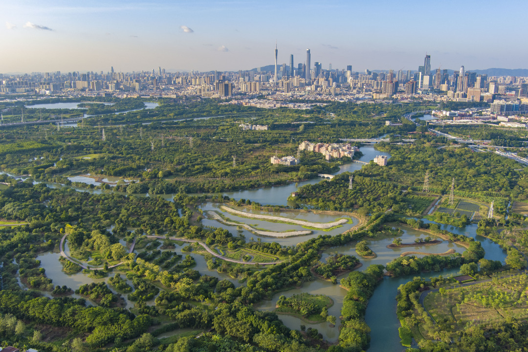 杨耀烨-9-FZ100211230877.JPG 杨耀烨-9-FZ100211230877.jpg