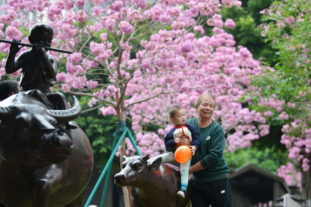 杨耀烨-YYY_9445-FZ100211230911.jpg 杨耀烨-YYY_9445-FZ100211230911.jpg