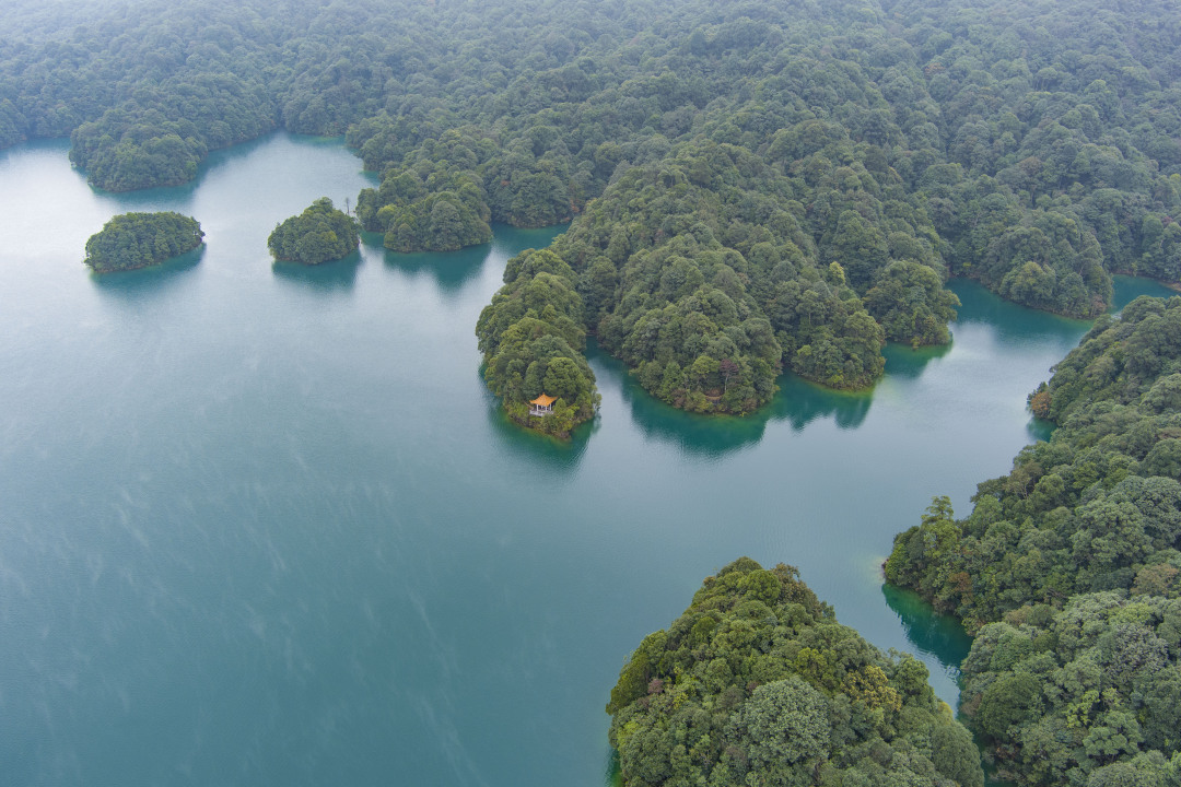 杨耀烨-10 2-FZ100211230893.JPG 杨耀烨-10 2-FZ100211230893.jpg