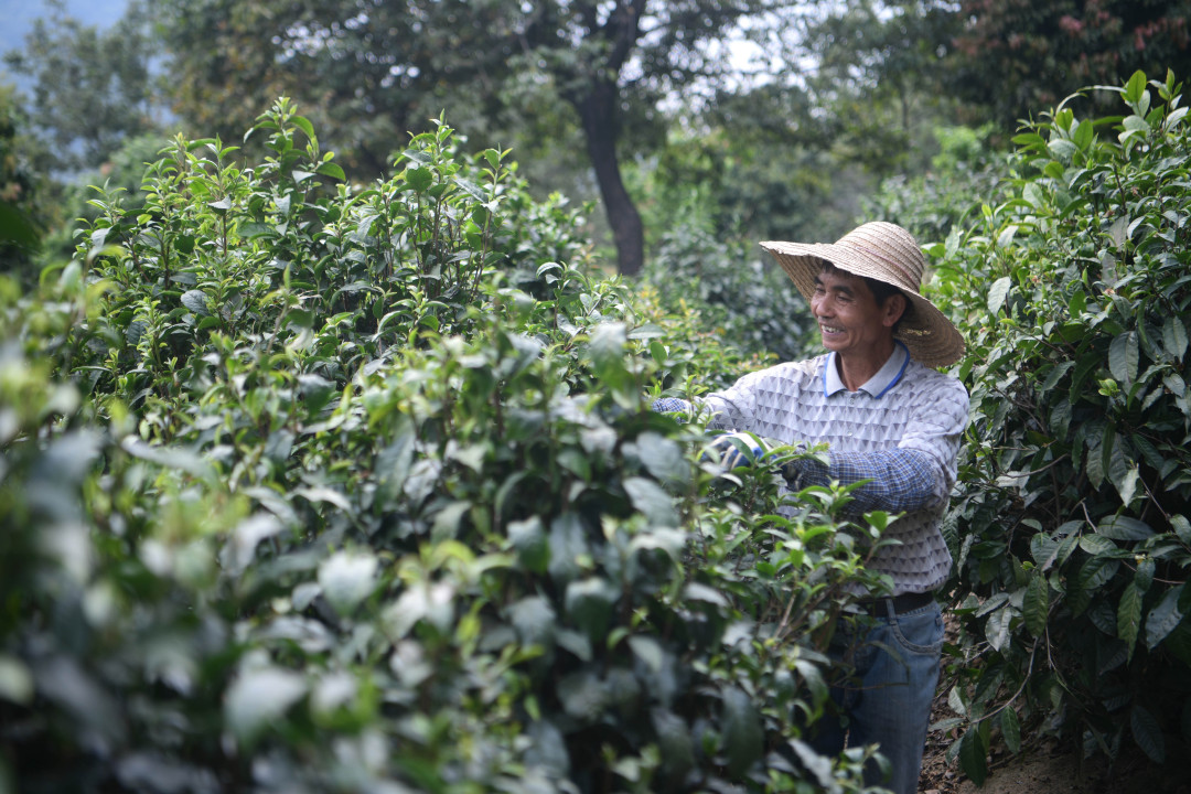 杨耀烨-YYY_8931-FZ100211230899.jpg 杨耀烨-YYY_8931-FZ100211230899.jpg