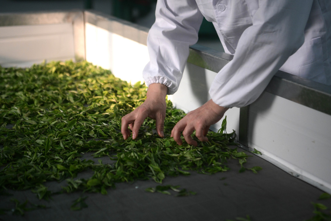 杨耀烨-YYY_9047-FZ100211230906.jpg 杨耀烨-YYY_9047-FZ100211230906.jpg