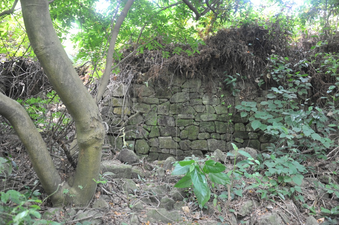 嵇沈玲-4-NEP1_20240228_C00411602526