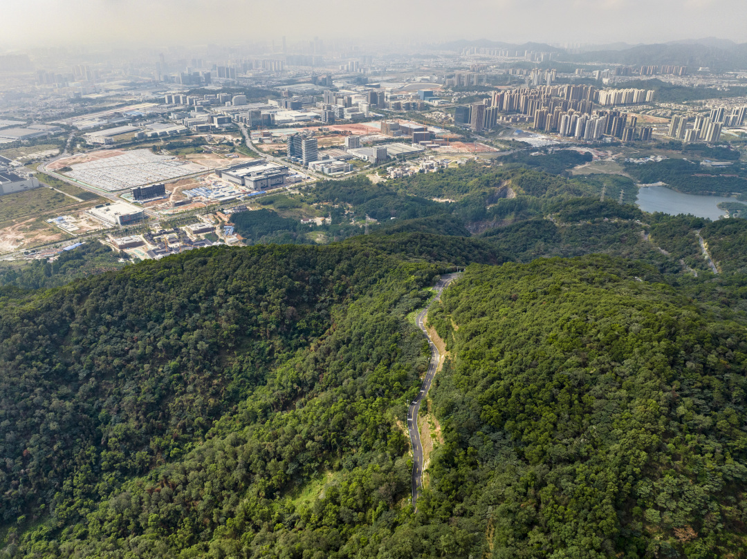 陈忧子-DJI_0175-HDR-NEP1_20240228_C00411602538