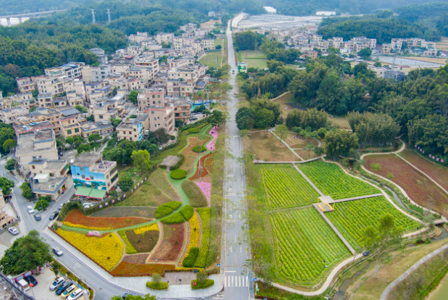 微信图片_20240229072156