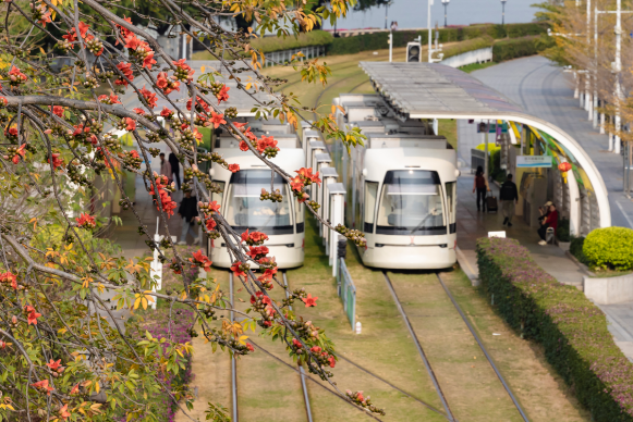 微信图片_20240229081725