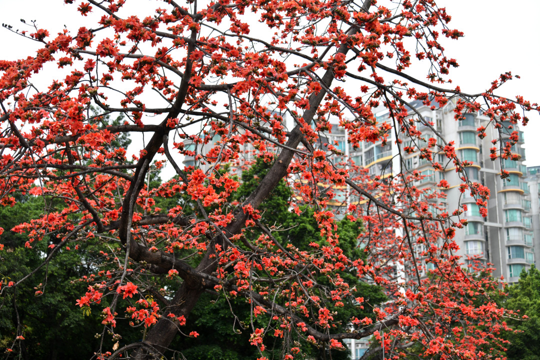 杨耀烨-YYY_3459-NEP1_20240229_C00411612232