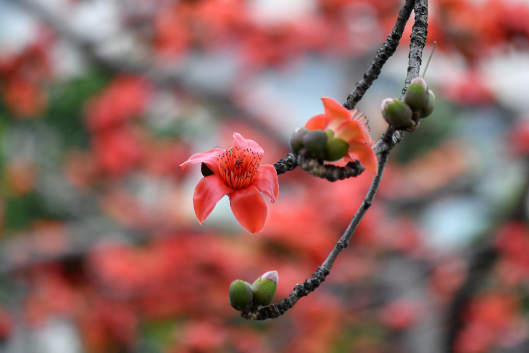 杨耀烨-YYY_3434-NEP1_20240229_C00411612223