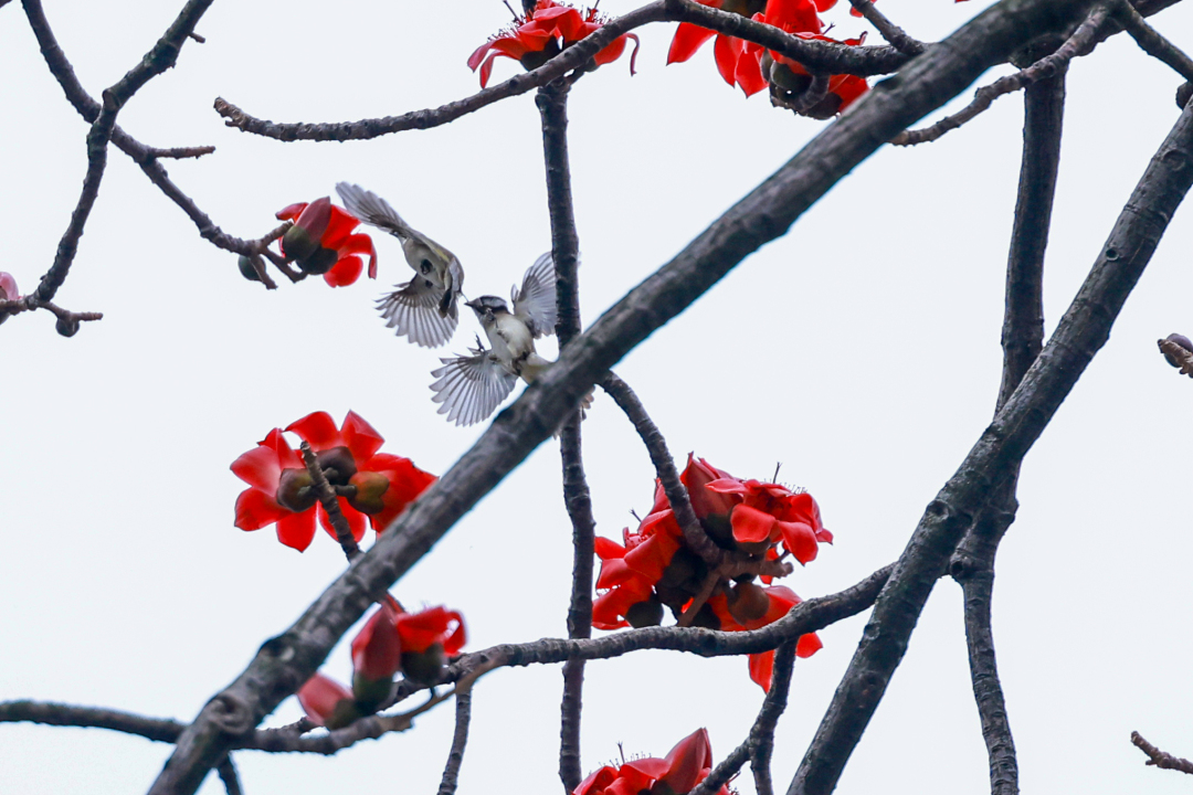 微信图片_20240301145520