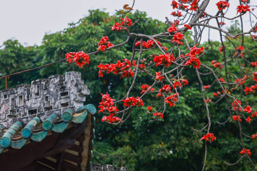 微信图片_20240301145527