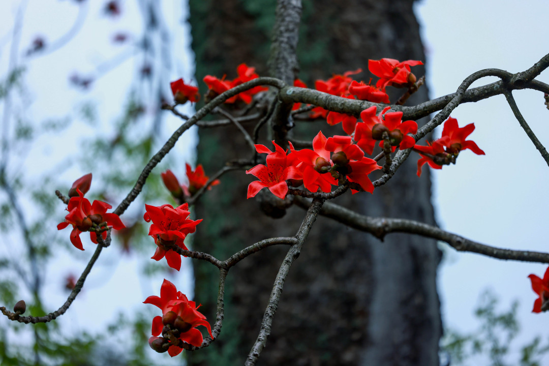 微信图片_20240301145531