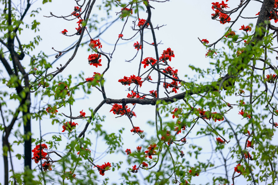 微信图片_20240301145534