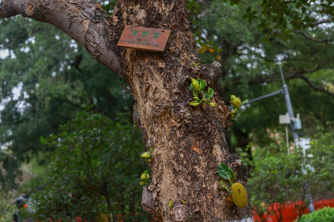 微信图片_20240301145523