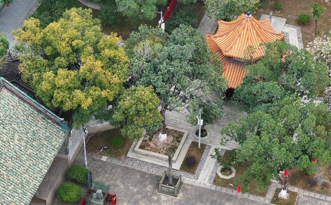 微信图片_20240301145500