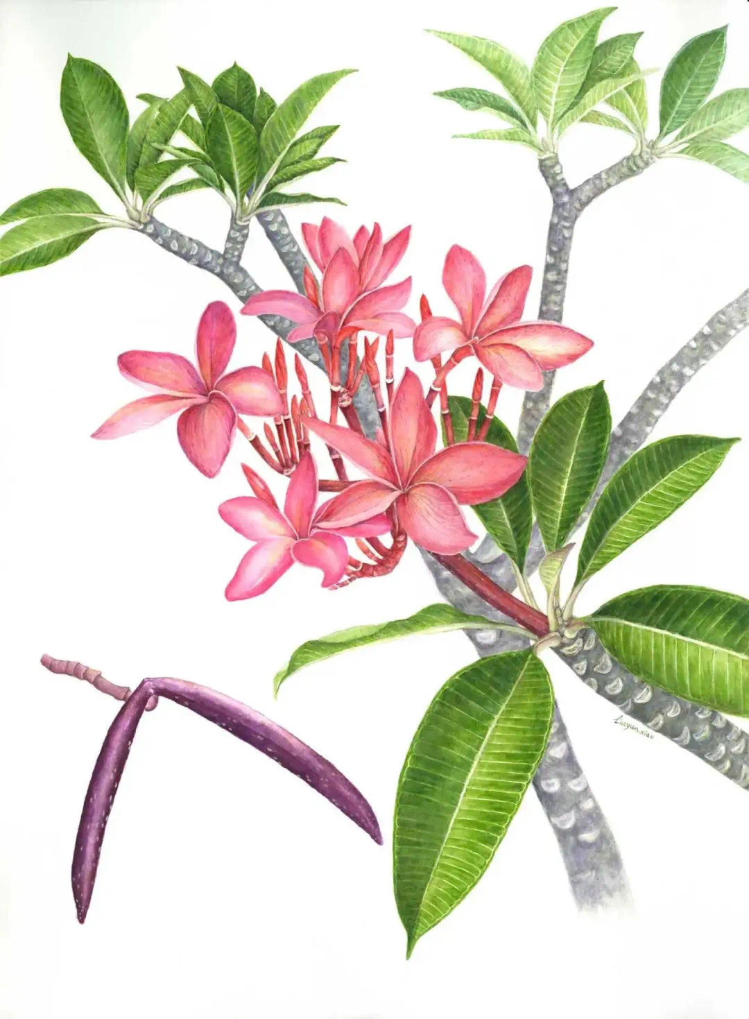 微信图片_20240309221817