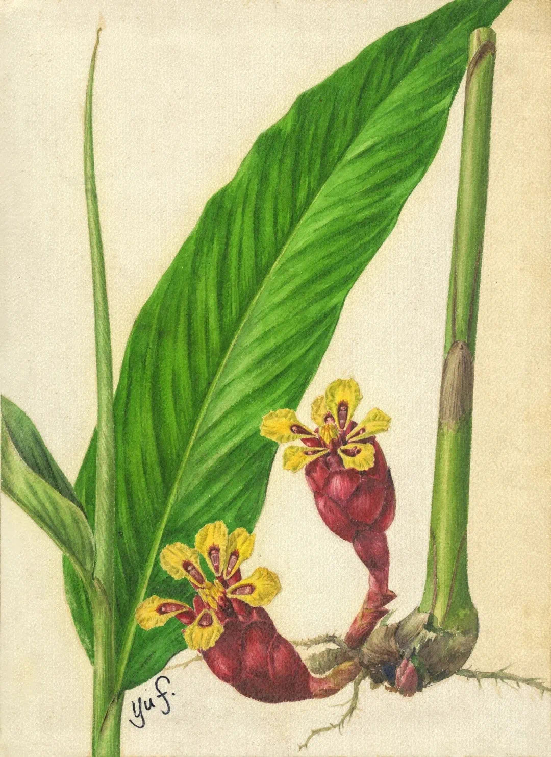 微信图片_20240309221821