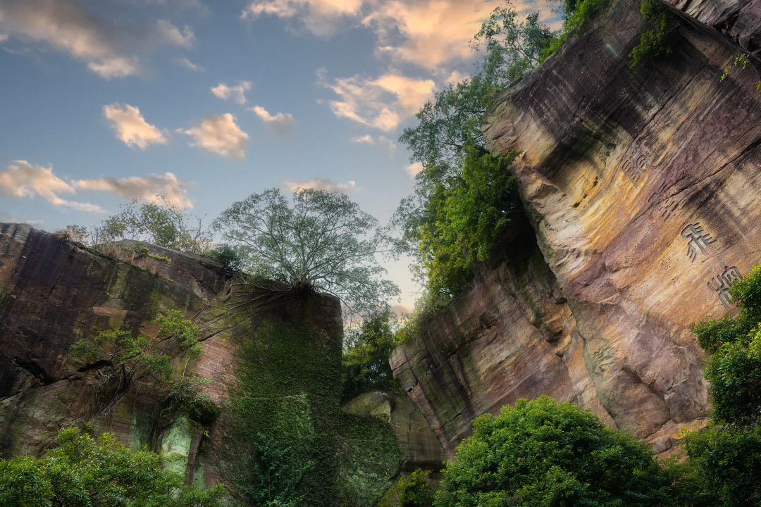 陈忧子-峭壁飞榕-NEP1_20240320_C00411706778