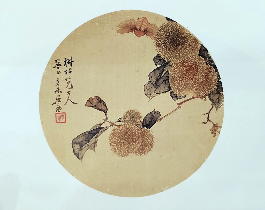 居廉 桂木、椿象