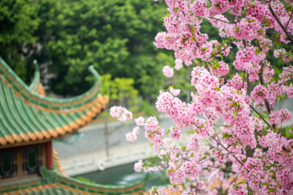 微信图片_20240322154805