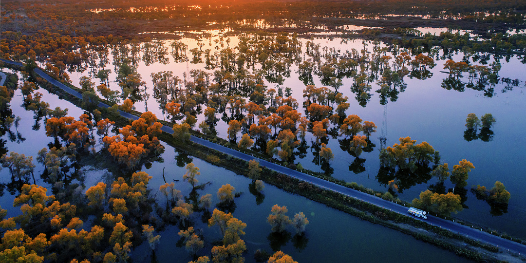劳有安《暖暖夕阳》