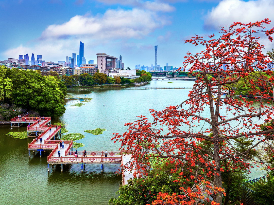 王达毅《红棉盛开时》