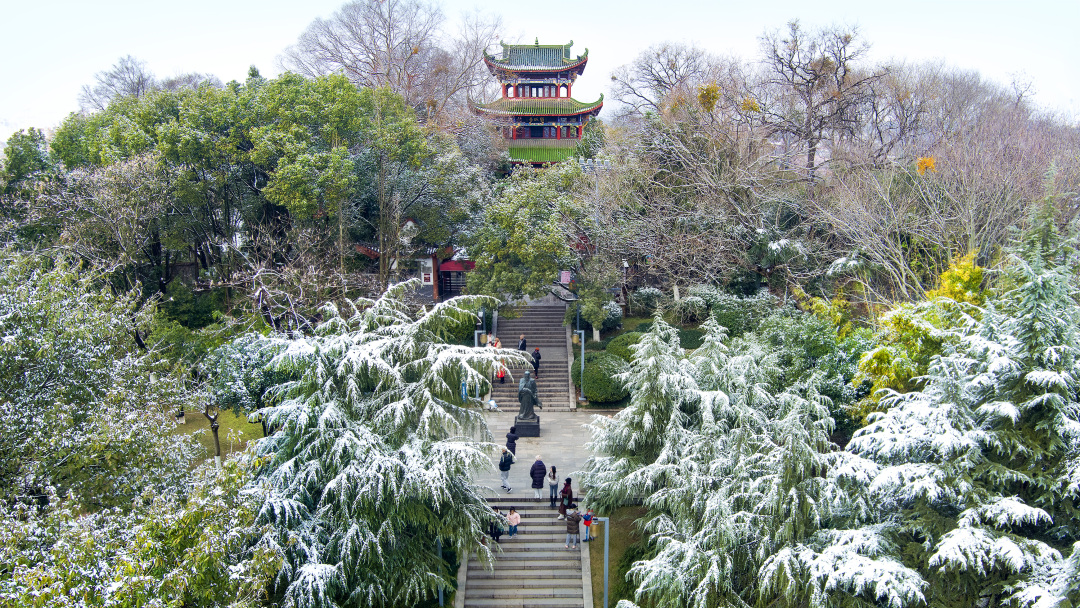 郑树强《雪飘郁孤台》