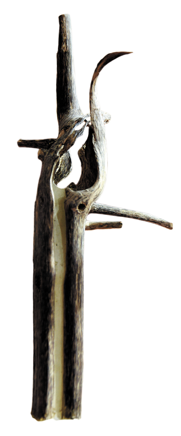 王月华-造型优美的沉香木1674459-FZ102811729403