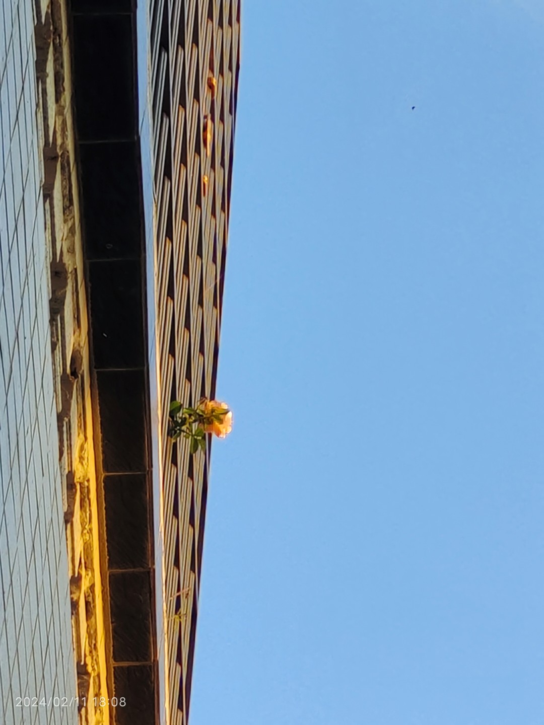 65f419c4e4b030b27ca6aa5d