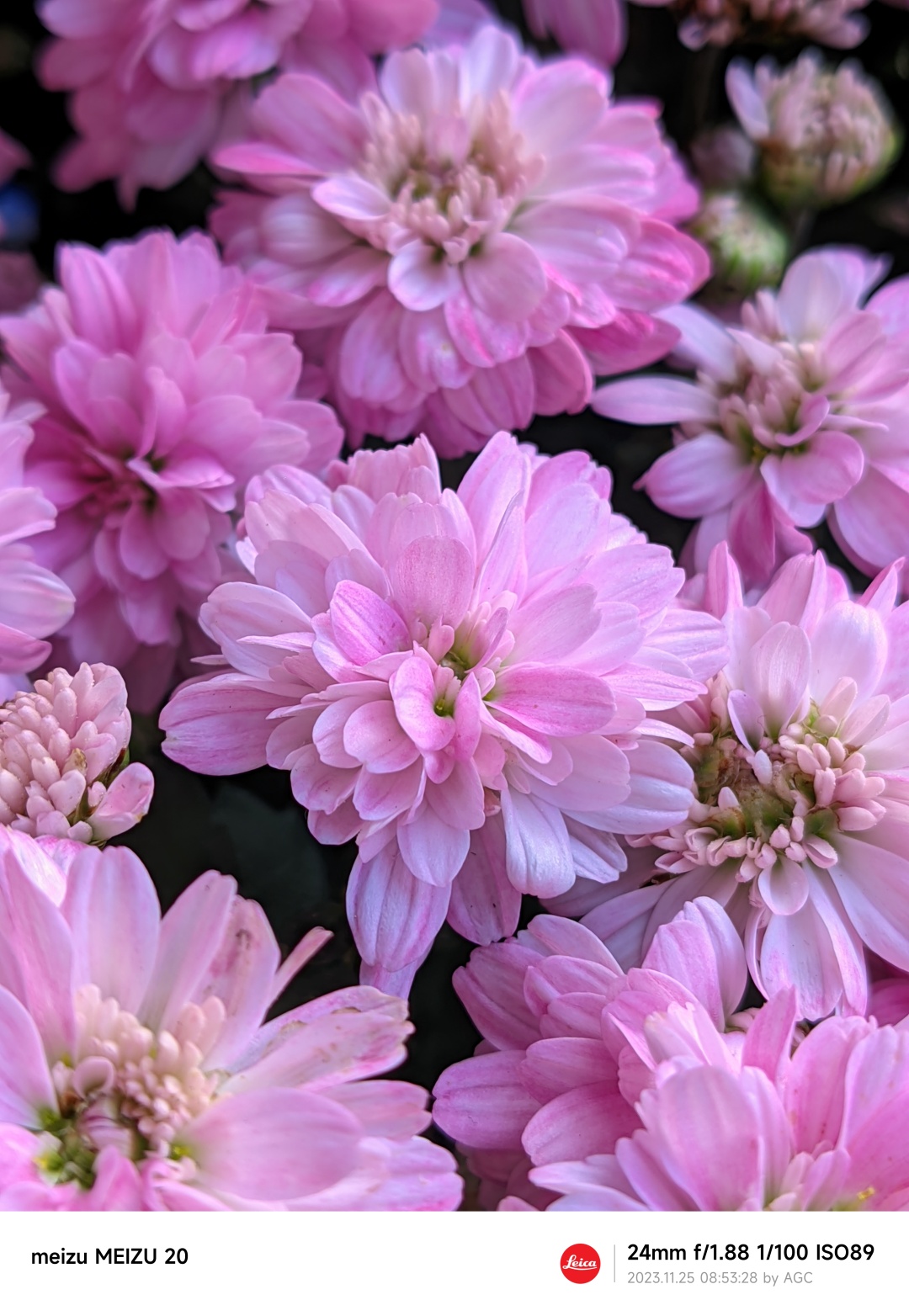 65f41c05e4b054c0cfe29471