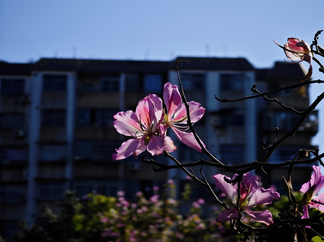 65f44f0be4b054c0cfe294e2