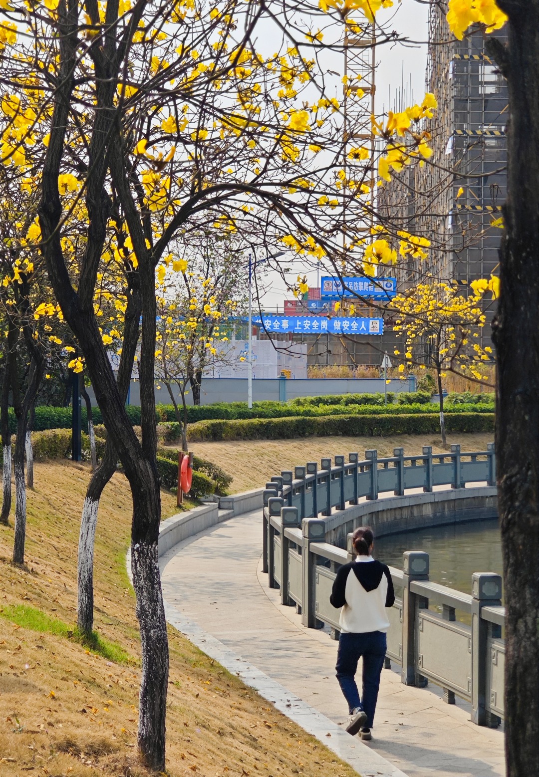 65f44f0ce4b054c0cfe294ea