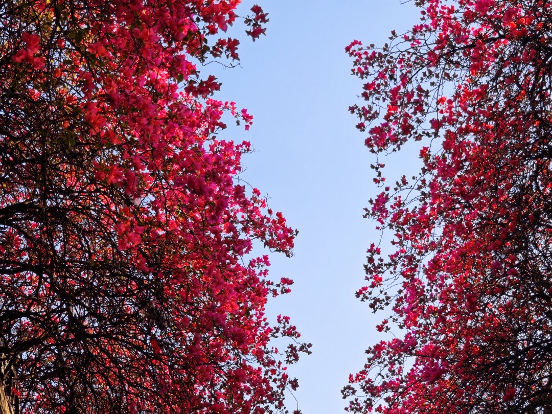 65f2e9cae4b054c0cfe29318