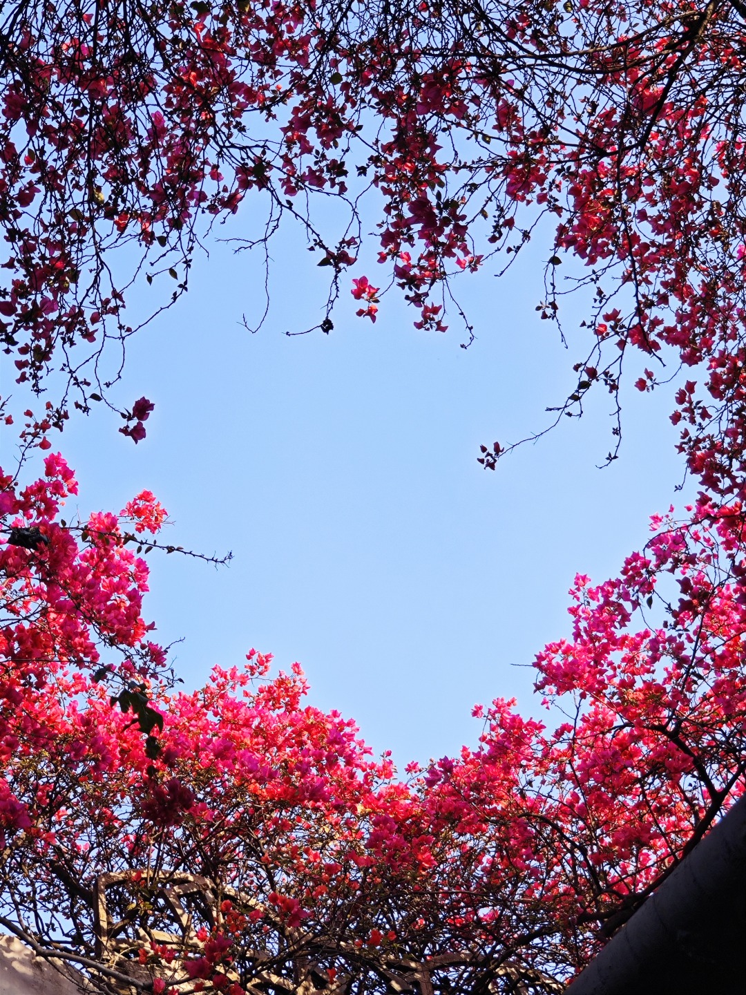 65f2e9c9e4b054c0cfe29316