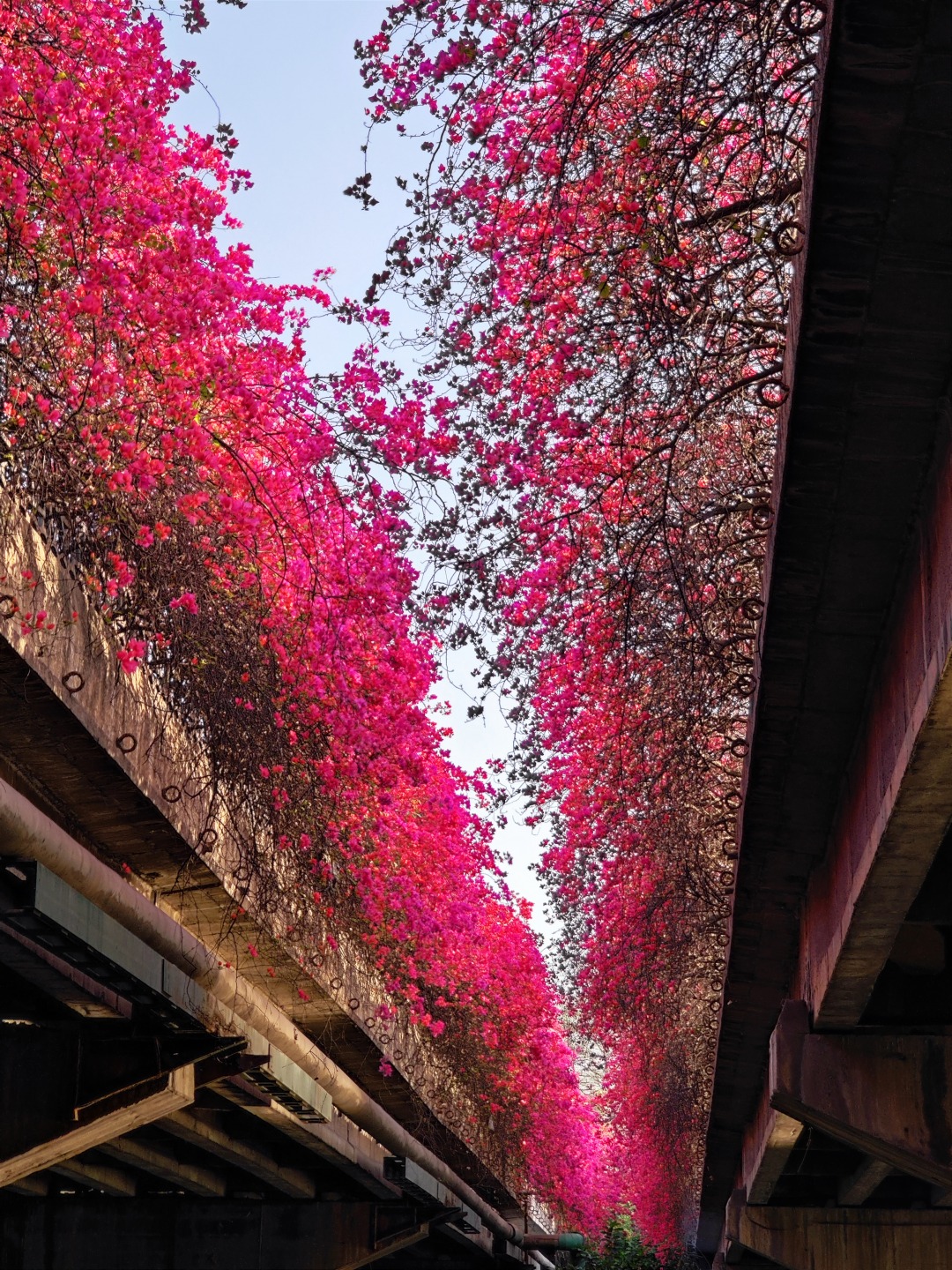 65f2e9cae4b054c0cfe2931a